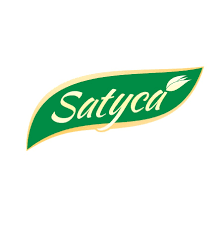 Satyca