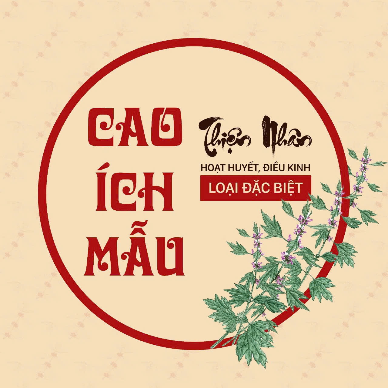 Cao Ích mẫu Thiện Nhân