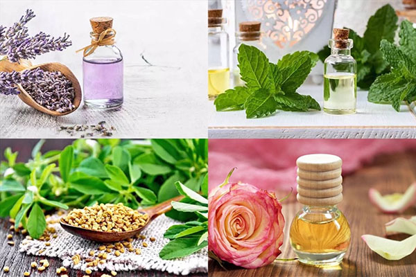 Sử dụng các loại dầu gội, dầu xả có nguồn gốc tự nhiên sẽ giúp tóc chắc khỏe hơn nhiều 