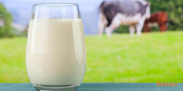 Sữa giúp ngăn ngừa quá trình lão hóa trên da