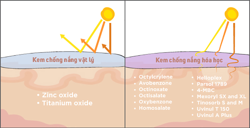 kem chống nắng farmona thuộc loại vật lý hay hóa học 