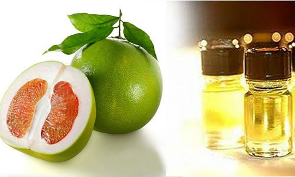 Tinh dầu bưởi đóng một vai trò không nhỏ trong sự phát triển của mái tóc 