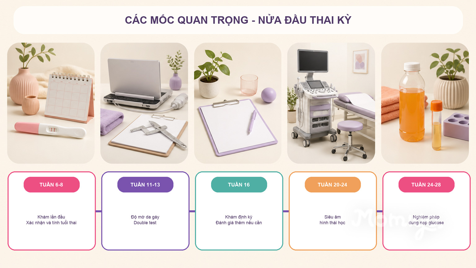 Các mốc khám thai quan trọng từ tuần 6-8 đến tuần 28