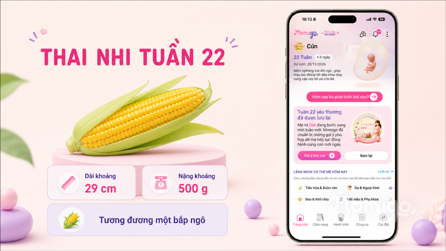 Thai nhi tuần 22 có kích thước tương đương một bắp ngô