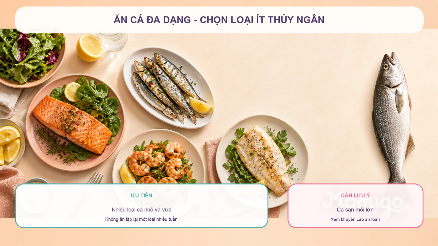 Ăn đa dạng và ưu tiên các loại cá ít thủy ngân