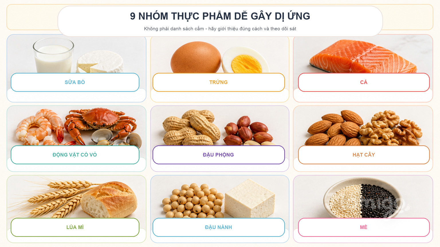 Chín nhóm thực phẩm dễ gây dị ứng cần được giới thiệu và theo dõi đúng cách
