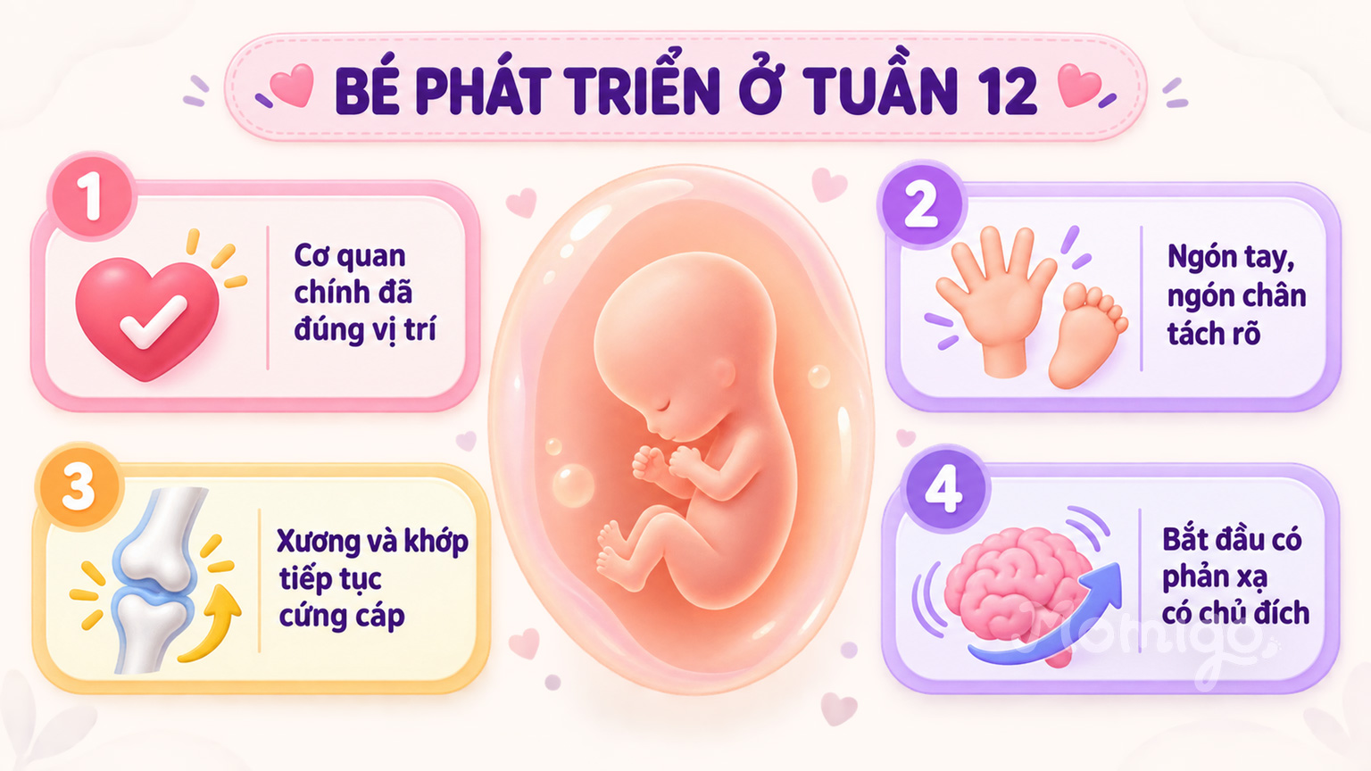 Những mốc phát triển chính của thai nhi ở tuần 12