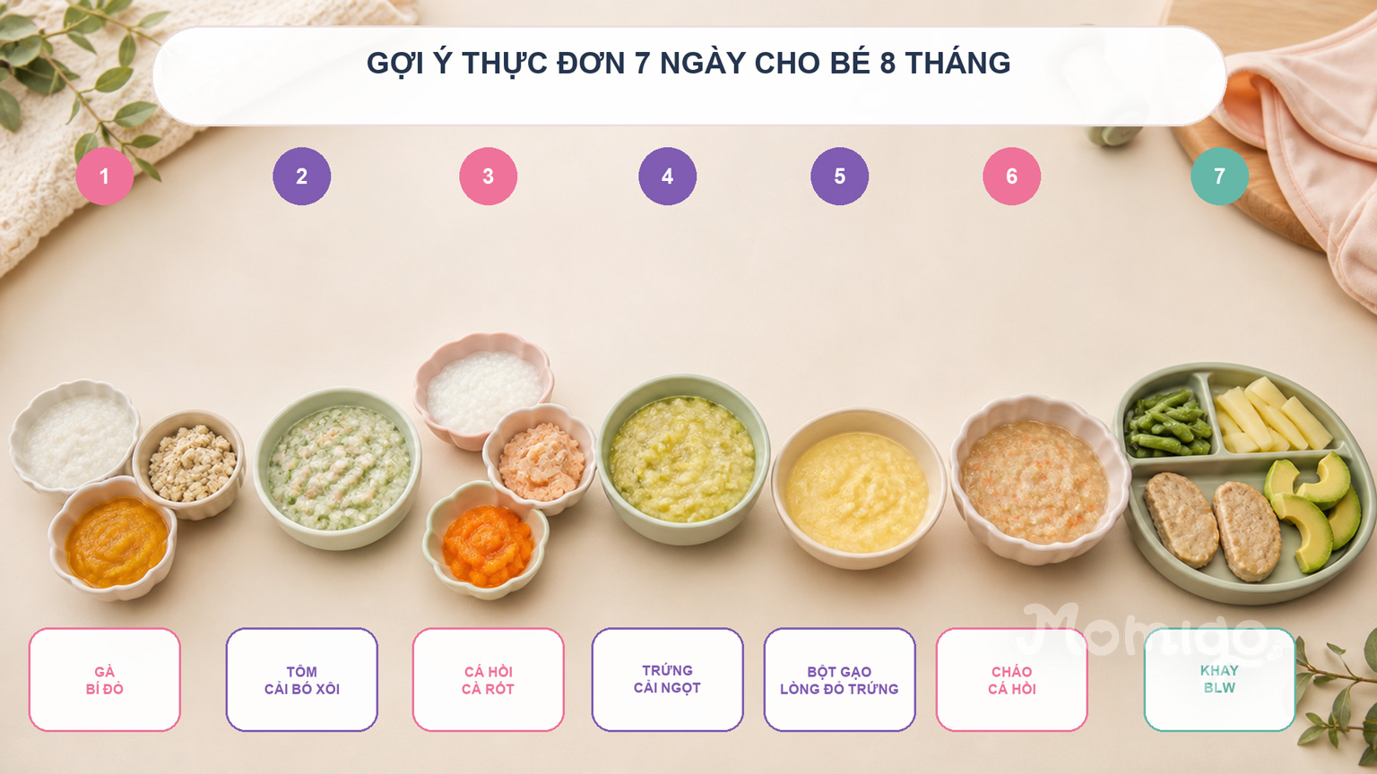 Theo dõi thực phẩm mới, lượng bé ăn và phản ứng thực tế trong Momigo