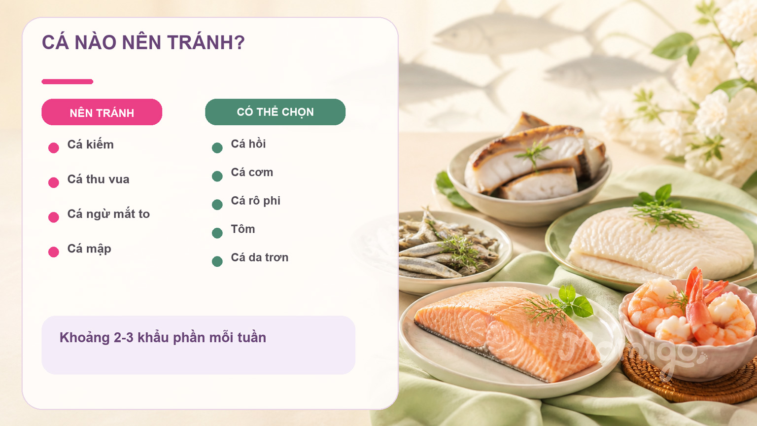 Các loại cá mẹ bầu nên tránh và lựa chọn thay thế