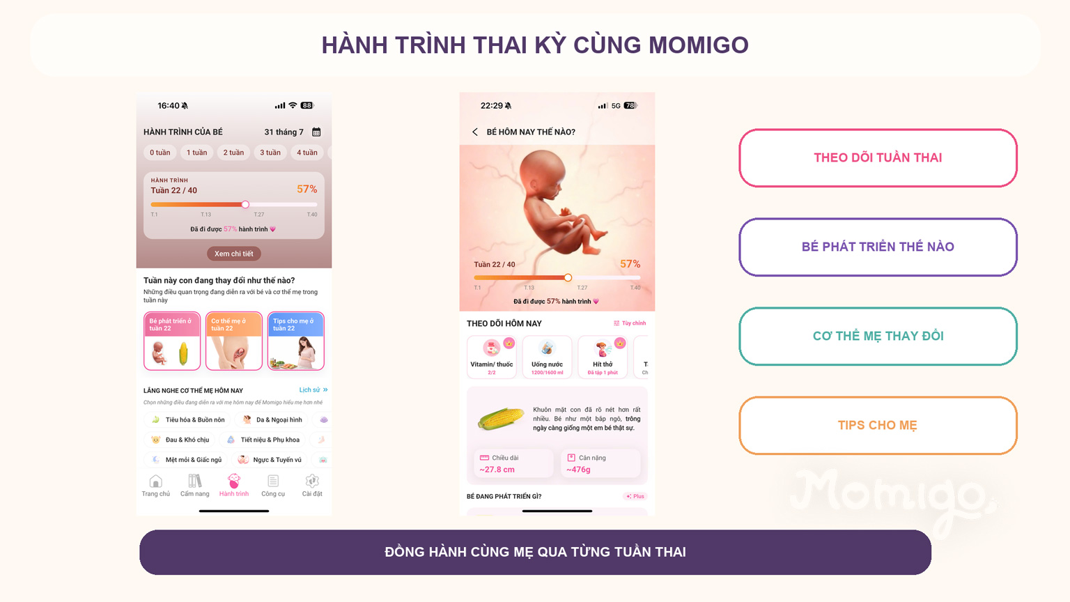Hành trình theo dõi sự phát triển của bé và thay đổi của mẹ trong Momigo