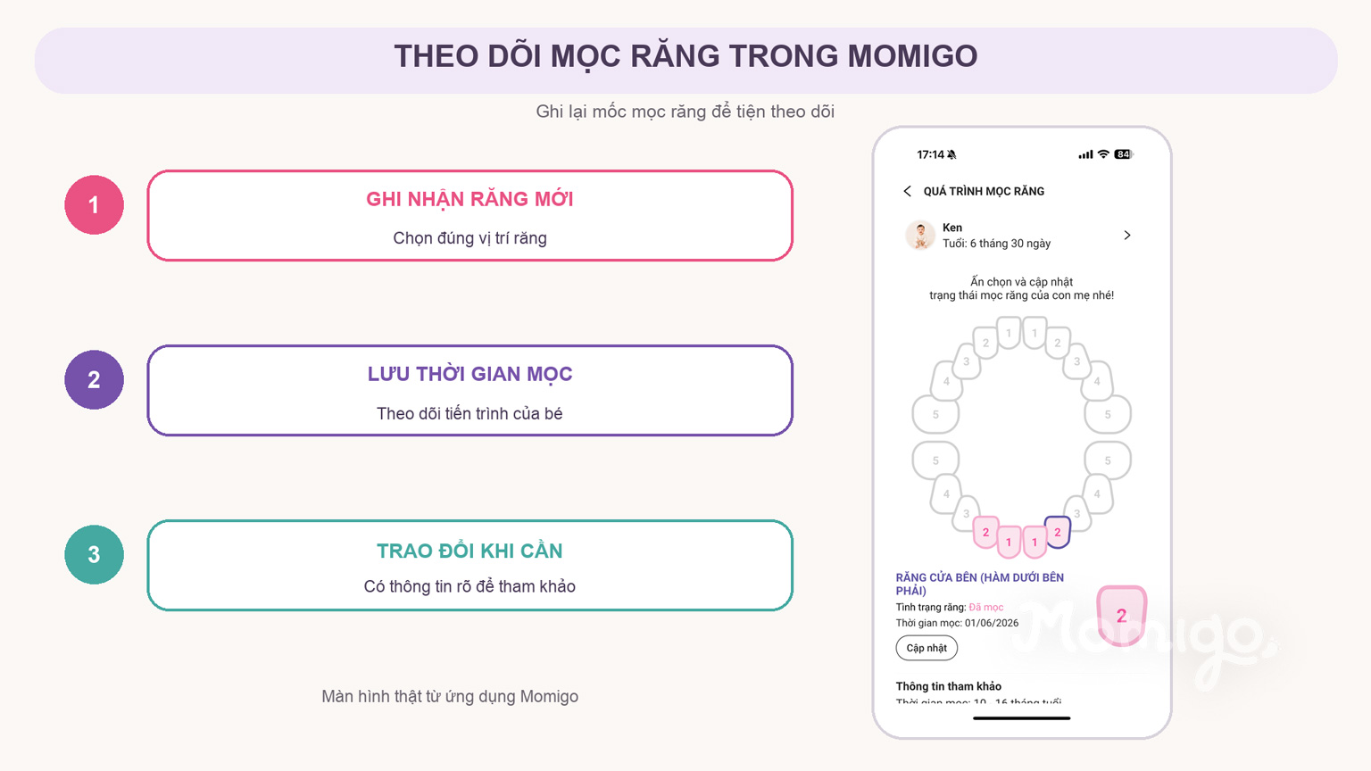 Theo dõi quá trình mọc răng của bé trong Momigo