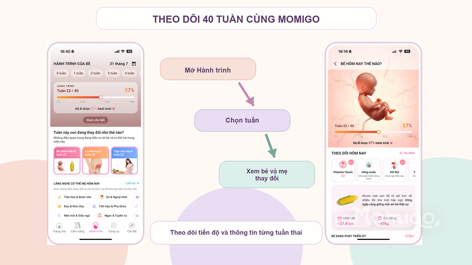 Theo dõi tiến độ và sự phát triển từng tuần thai trong Momigo