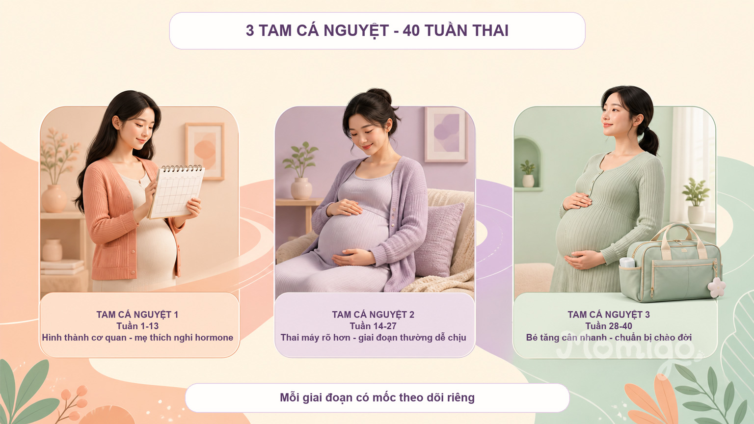 Ba tam cá nguyệt và những thay đổi chính trong hành trình 40 tuần