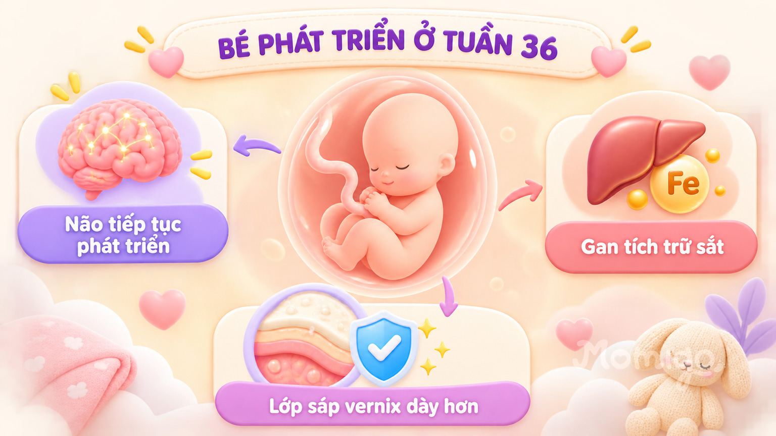 Não, gan và lớp sáp vernix tiếp tục hoàn thiện ở tuần 36