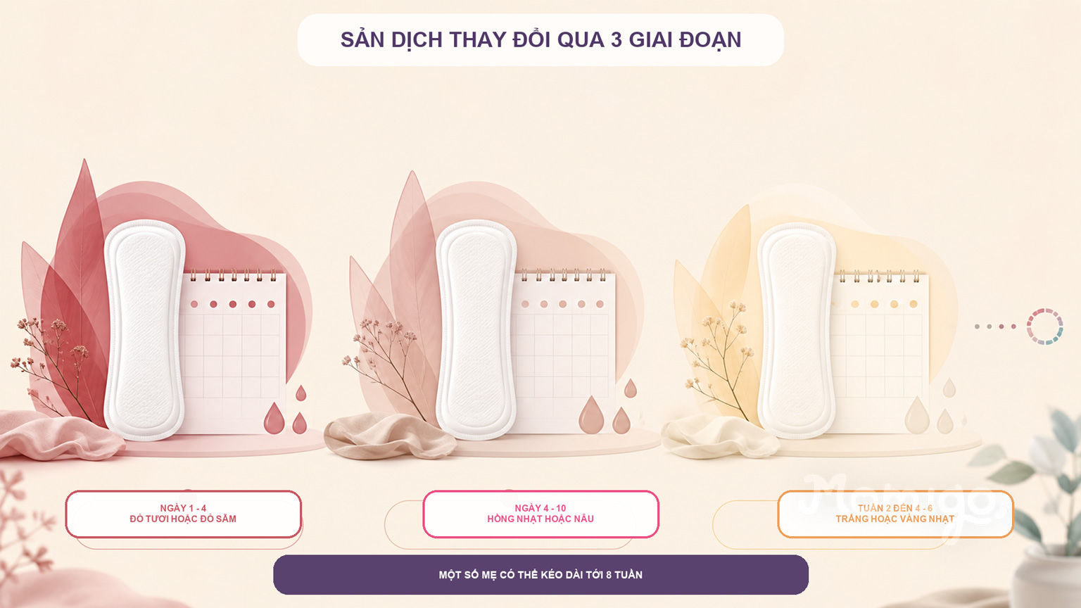 Ba giai đoạn thay đổi thường gặp của sản dịch sau sinh