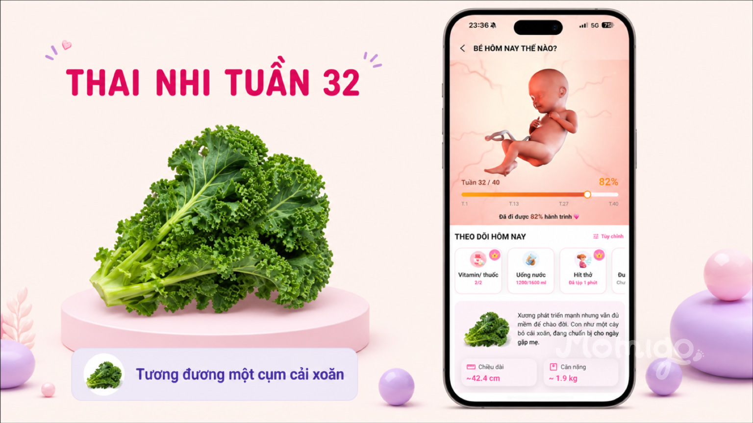 Thai nhi tuần 32 có kích thước tương đương một cụm cải xoăn