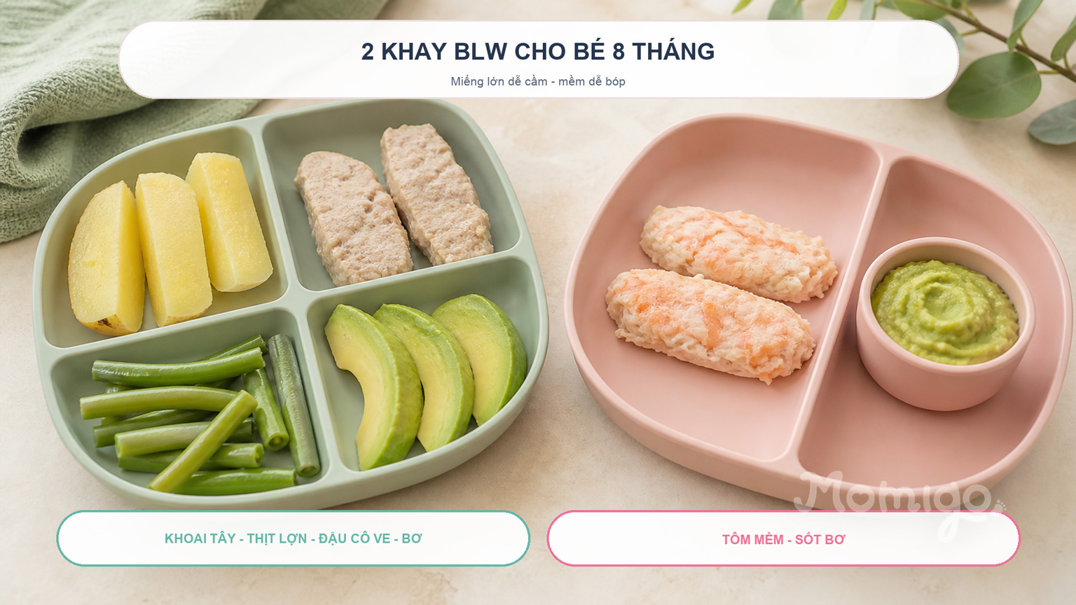 Hai khay BLW có kích thước và độ mềm phù hợp với bé 8 tháng