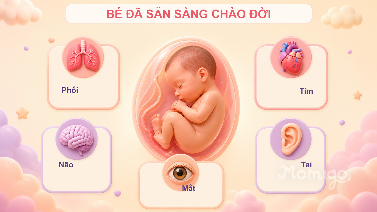 Các cơ quan của bé đã sẵn sàng hoạt động độc lập ở tuần 38