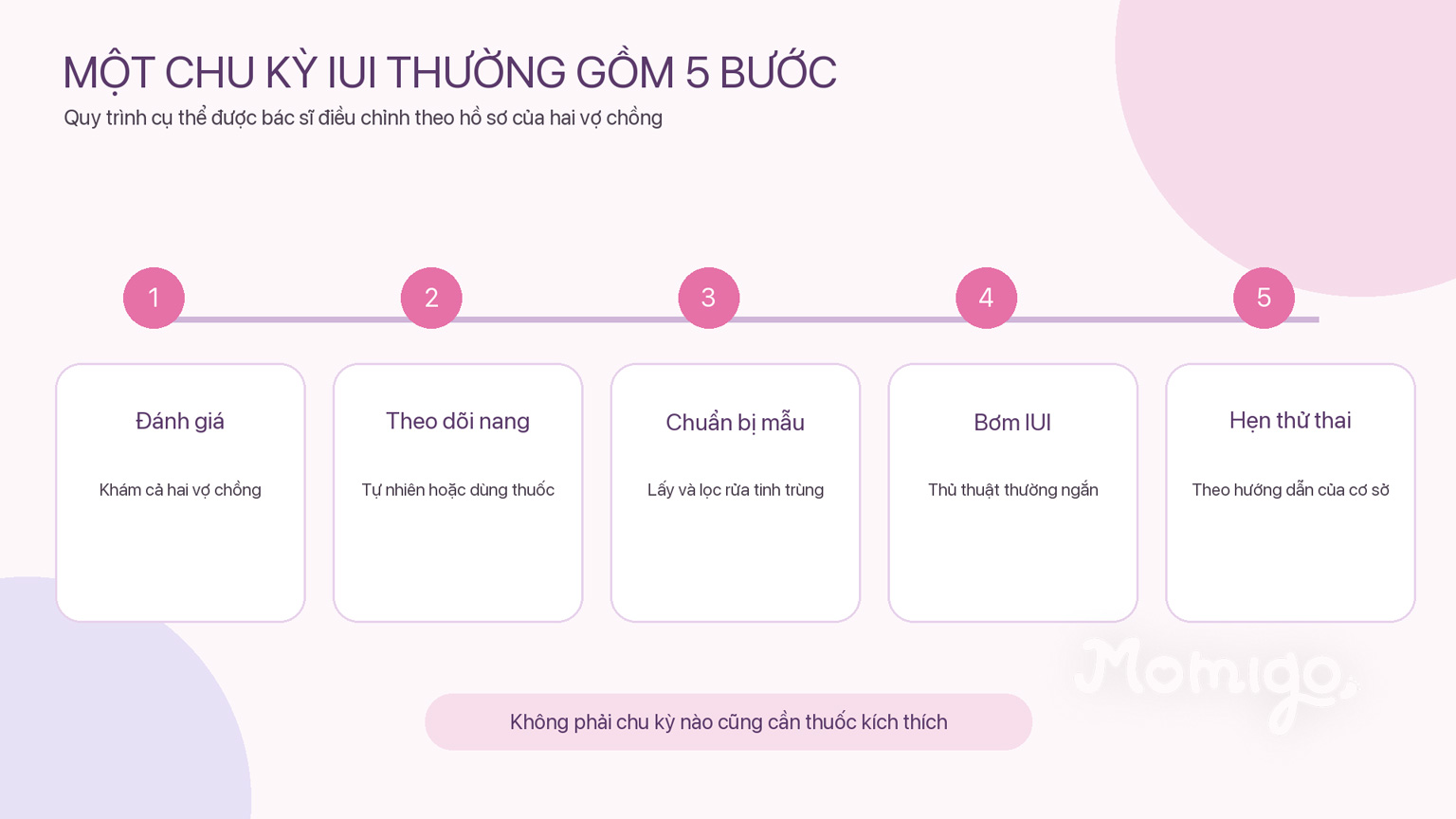 Một chu kỳ IUI thường gồm năm bước chính