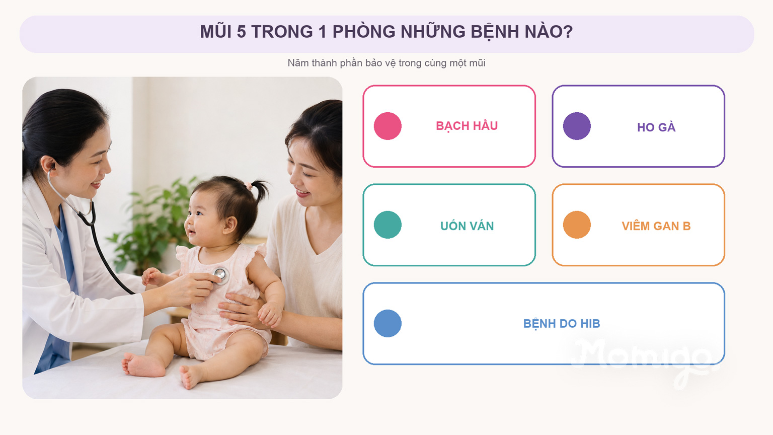 Năm nhóm bệnh được phòng bởi mũi 5 trong 1