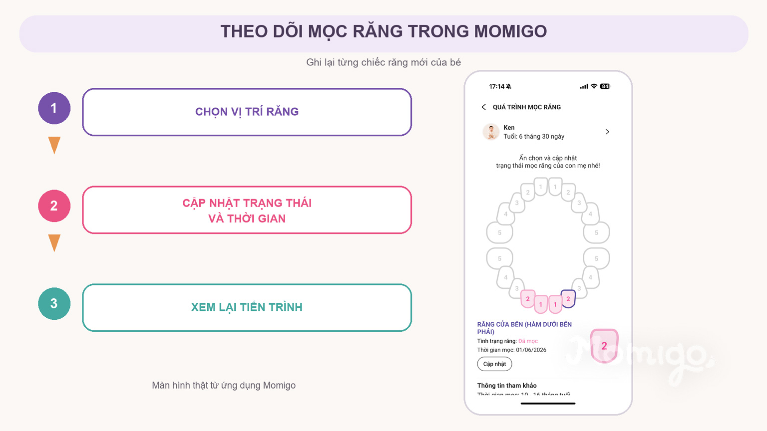 Theo dõi quá trình mọc răng của bé trong Momigo