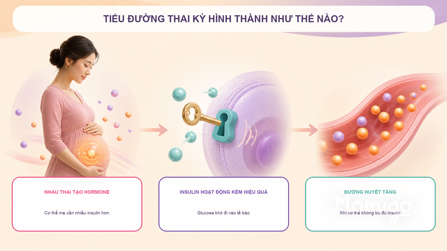 Cơ chế hình thành tiểu đường thai kỳ theo ba bước