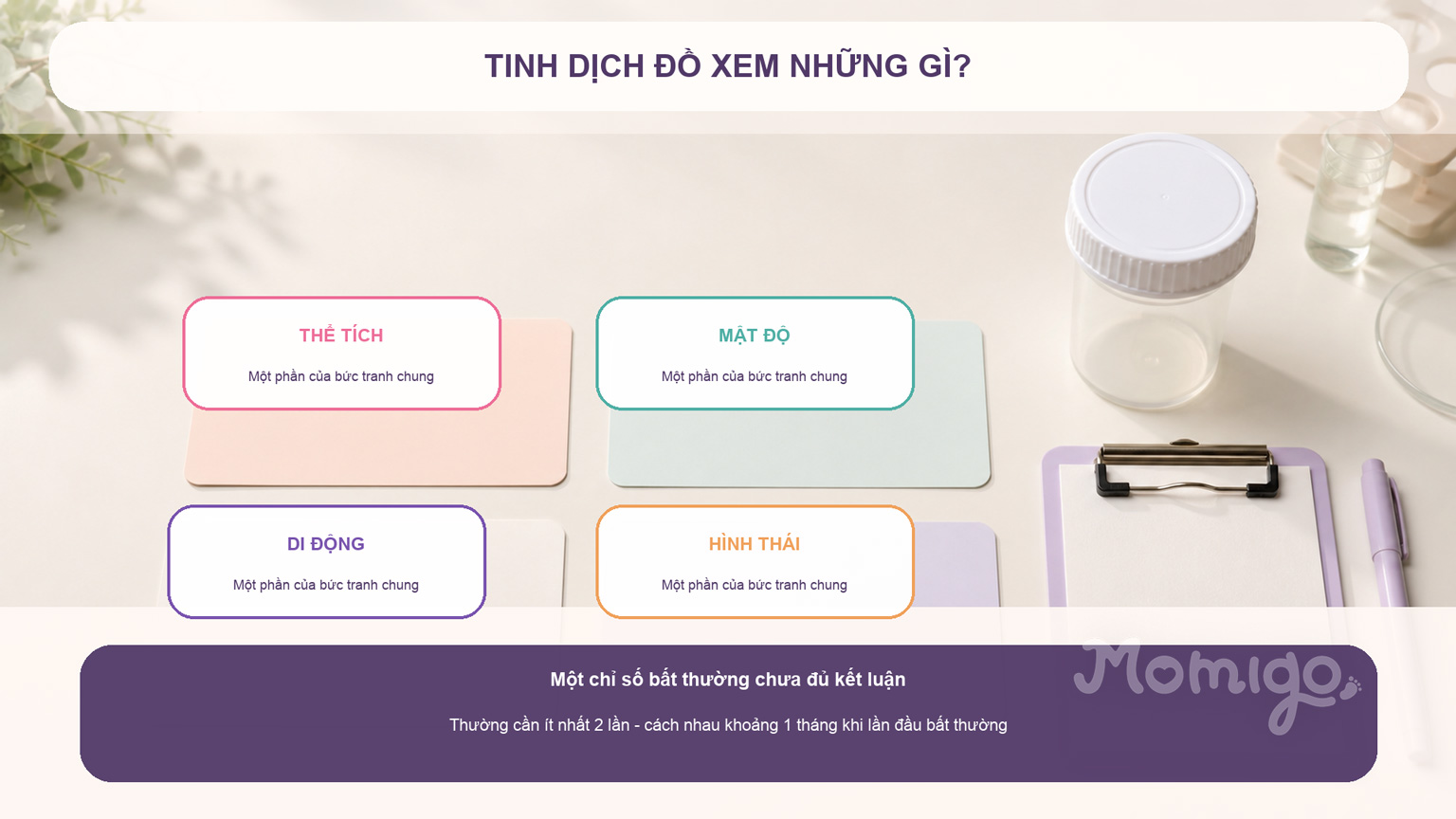Bốn nhóm thông tin chính của tinh dịch đồ và cách hiểu thận trọng