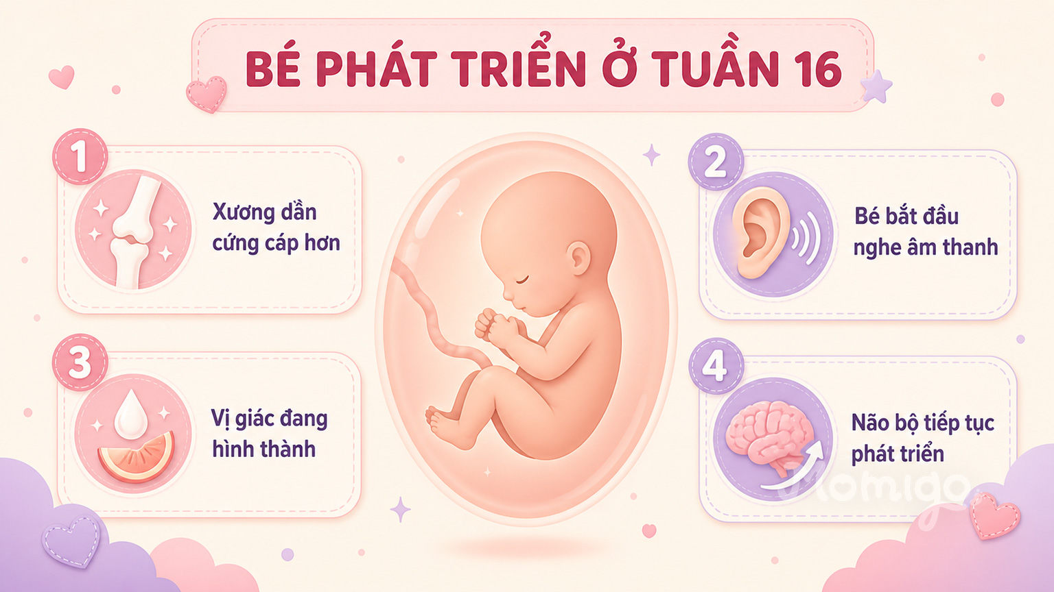 Những mốc phát triển chính của thai nhi ở tuần 16
