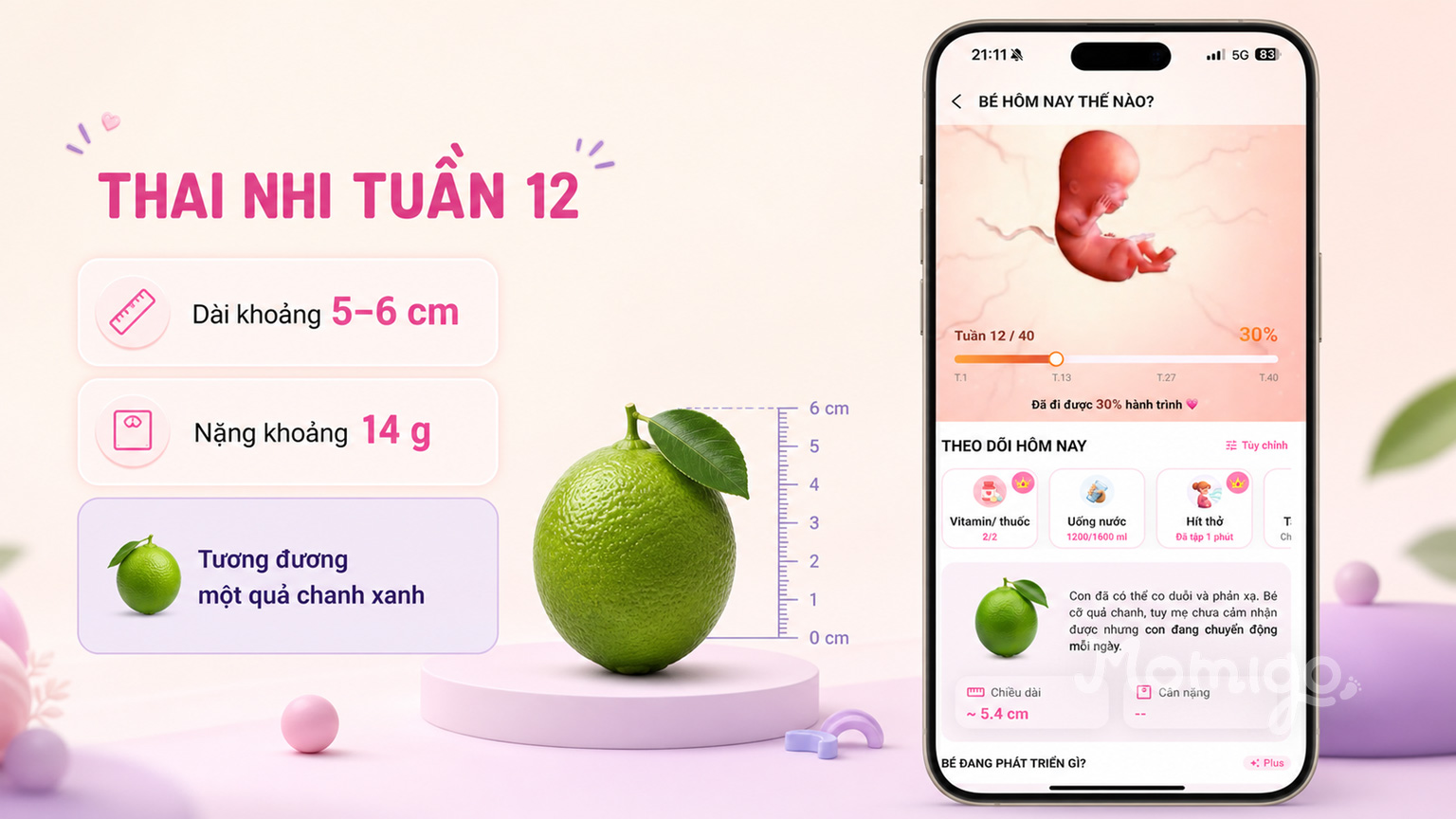 Thai nhi tuần 12 có kích thước tương đương một quả chanh xanh