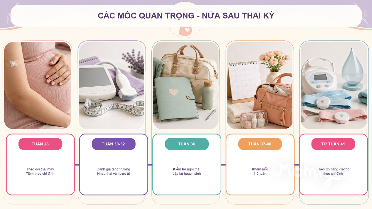 Các mốc khám thai quan trọng từ tuần 28 đến tuần 41