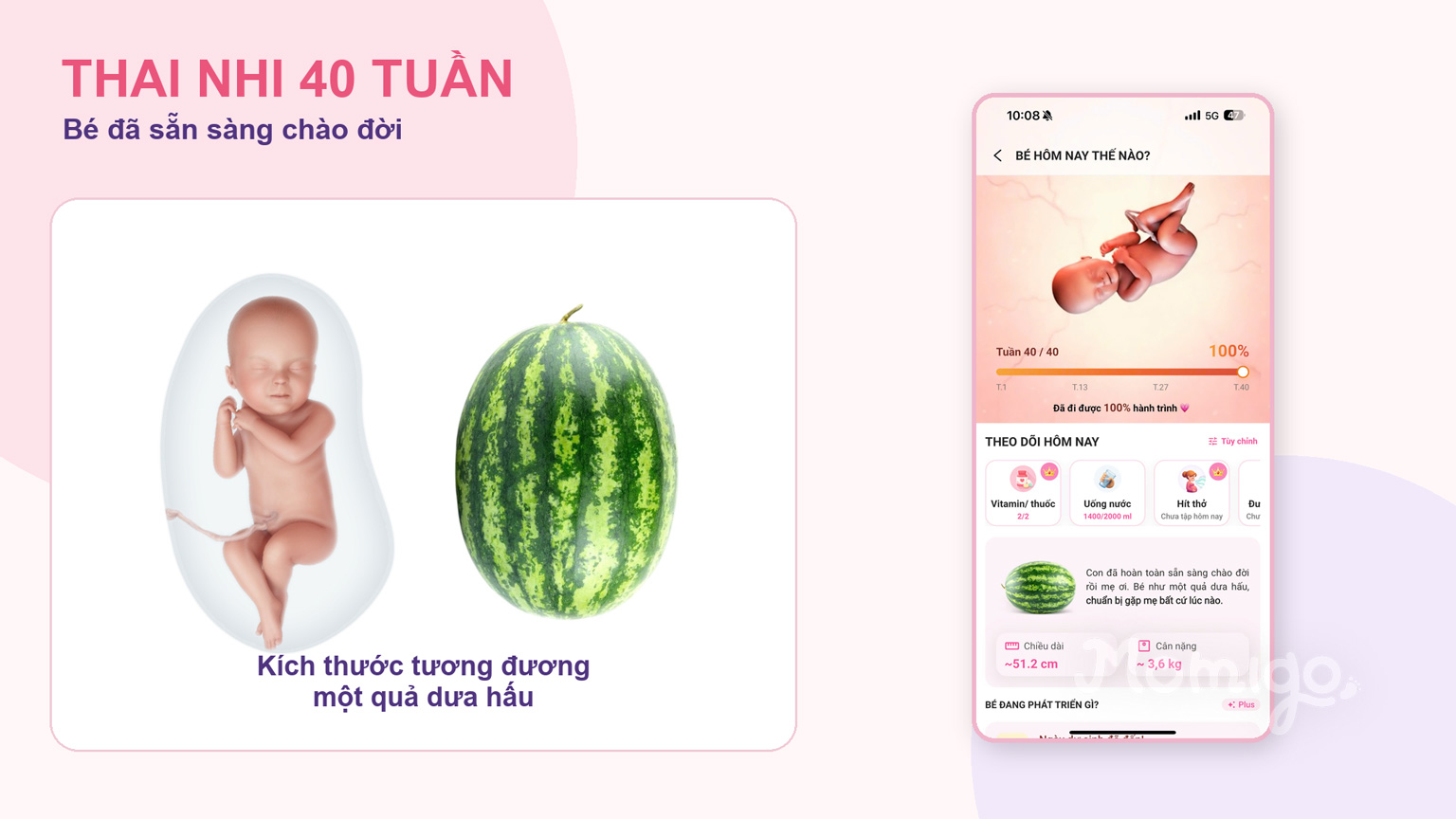 Thai nhi 40 tuần đã sẵn sàng chào đời, kích thước tương đương một quả dưa hấu