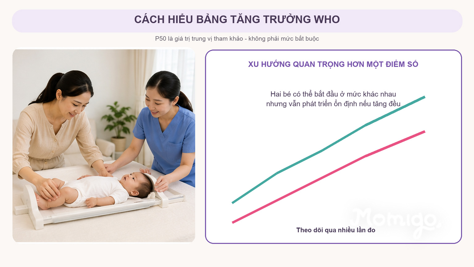 Cách hiểu P50 và xu hướng tăng trưởng