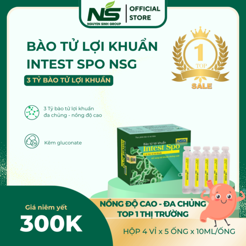 Bào Tử Lợi Khuẩn Intest Spo NSG Bổ Sung 3 Tỷ Bào Tử Lợi Khuẩn Cho Đường Ruột - Hộp 20 Ống 10ml